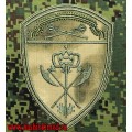 Нарукавный знак службы МТО Центрального округа Росгвардии расцветки Мох зеленый
