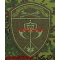 Полевой шеврон воинских частей обеспечения деятельности ВНГ Центрального округа