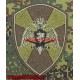 Полевой нарукавный знак военнослужащих и сотрудников ФСВНГ России